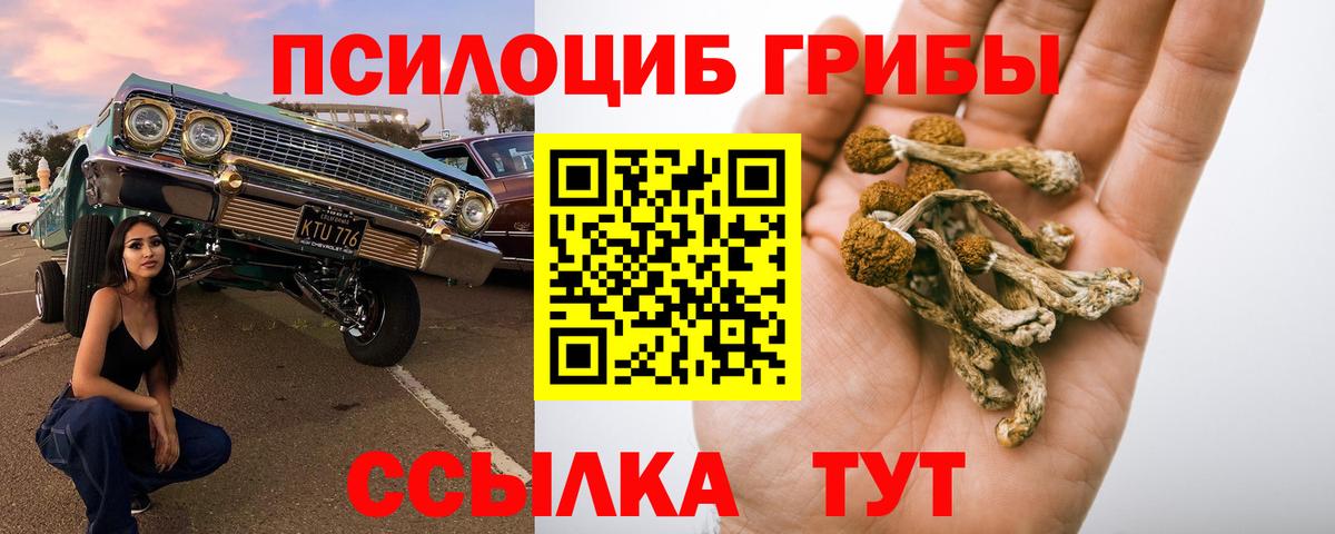 Галлюциногенные грибы прущие грибы  Вход с VPN  Псилоцибиновые грибы GOLDEN TEACHER  Михайловск 